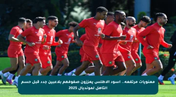 معنويات مرتفعة.. أسود الأطلس يعززون صفوفهم بلاعبين جدد قبل حسم التأهل لمونديال 2025